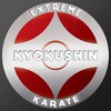 Extreme Kyokushin Karate