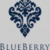 Blueberry Events