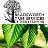 Bradsworth Tree Services & Contracting