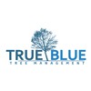 True Blue Trees