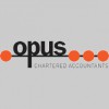 Opus Tax & Business Services