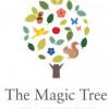 The Magic Tree Yoga & Wellness Centre