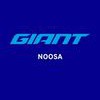 Giant Noosa