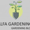 Alfa Gardening