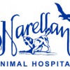 Narellan Animal Hospital