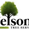 Nelson's Tree Services