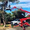 Assured Tree Services