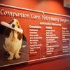 Companion Care Veterinary Surgery