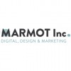 Marmot