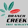 Branch Creek Tree Services