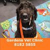 The Gardens Vet