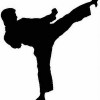 Pinnacle Karate Martial Arts In Marrickville For Kids Teens