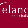 Elance Adult Ballet School