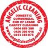 Angelic Cleaning