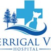 Terrigal Vet