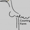 Curlew Country Farm