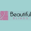 Beautiful Blinds