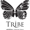 Tribe Lifestyle Hair Salon