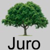 Juro Financial Services