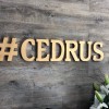 Cedrus