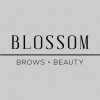 Blossom Brows & Beauty