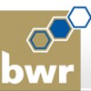 Bwr Accountant & Adviser