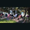 Mana Yoga Retreats