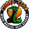 Cobra Martial Arts Morley