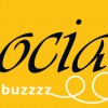 Social Bee