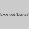 Exotique Lashes & Beauty