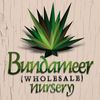 Bundameer Nursery