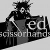 Ed Scissorhands