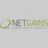 Netgains Website Development