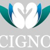 Cigno