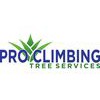 Pro Climbing Tree Services