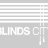 Blinds City