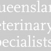 Queensland Veterinary Specialists