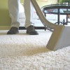 Promax Tile & Carpet Care