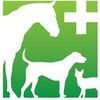 Rylstone Veterinary Surgery