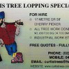 Curtis Tree Lopping Specialists