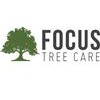 Focus Tree Care