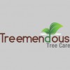 Treemendous Tree Care