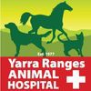 Yarra Ranges Animal Hospital