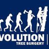 Evolution Tree Surgery