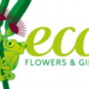 Eco Flowers & Gifts