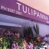 Tulipanna