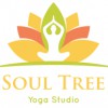 Soul Tree Yoga Studio