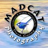 MADCAT Photography