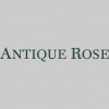 Antique Rose Florist