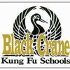 Black Crane Kung Fu